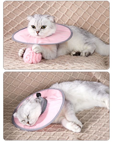 Hovedbilde Rosa Elizabeth sårkrage til hund og katt