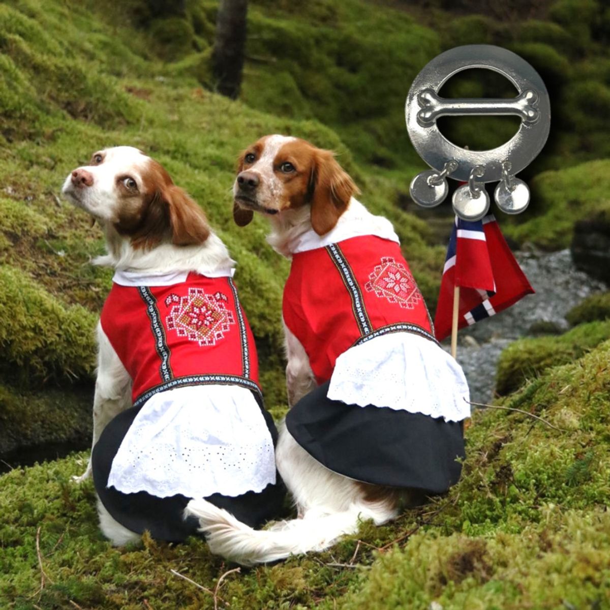 Bunadspakke til tispe: Hardanger-inspirert hundebunad med hjerteformet sølje